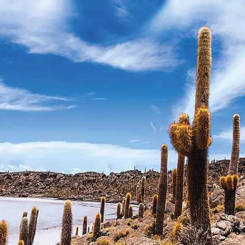 TREATMENTS® Mailbox Body & Fragrance Uyuni< Huidolie